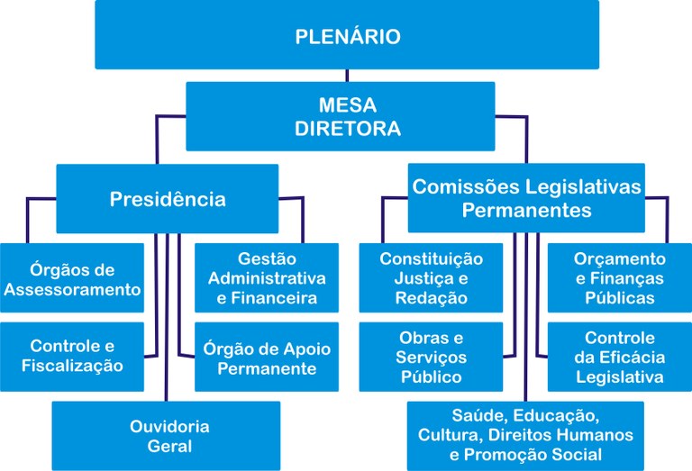 Estrutura Organizacional Estrutura Organizacional