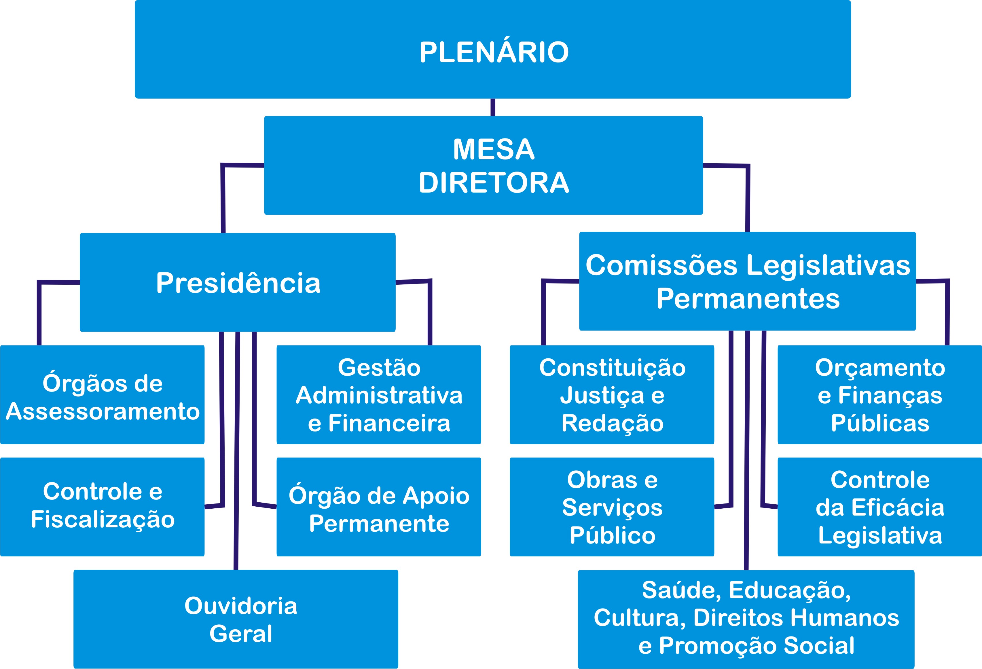 Estrutura Organizacional
